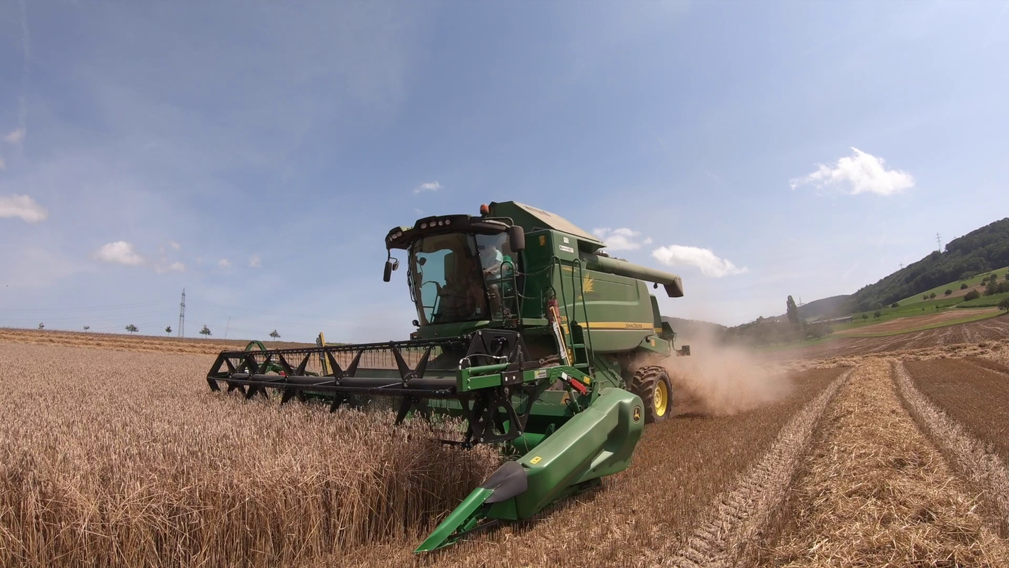Leimenhof Farmlife hautnah: Mähdrescher Erlebnis