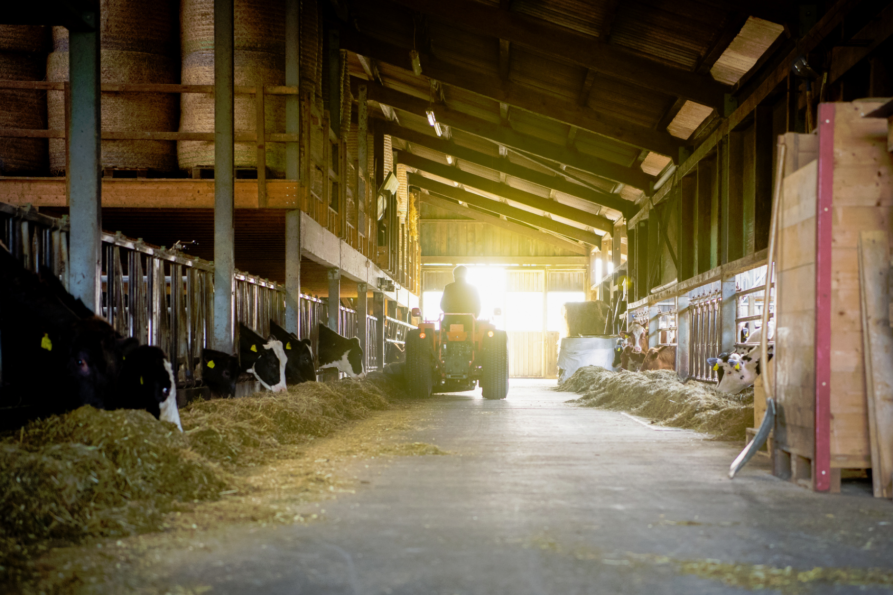 Der Leimenhof in Wenslingen